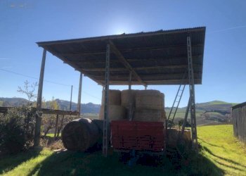 Foto 82 - Villa c.da Case Rosse
 
27/29, Ripatransone - foto 77