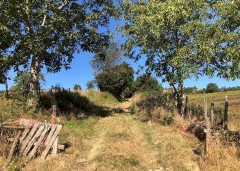 Foto 4 - Terreno agricolo Contrada San Giovanni, Santa Vittoria in Matenano - foto 4