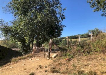 Foto 6 - Terreno agricolo Contrada San Giovanni, Santa Vittoria in Matenano - foto 6