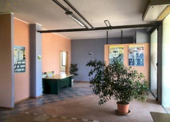 Foto 18 - Locale Commerciale Via del progresso
 
12, Canzano - foto 17