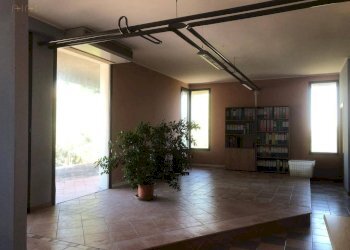 Foto 21 - Locale Commerciale Via del progresso
 
12, Canzano - foto 20