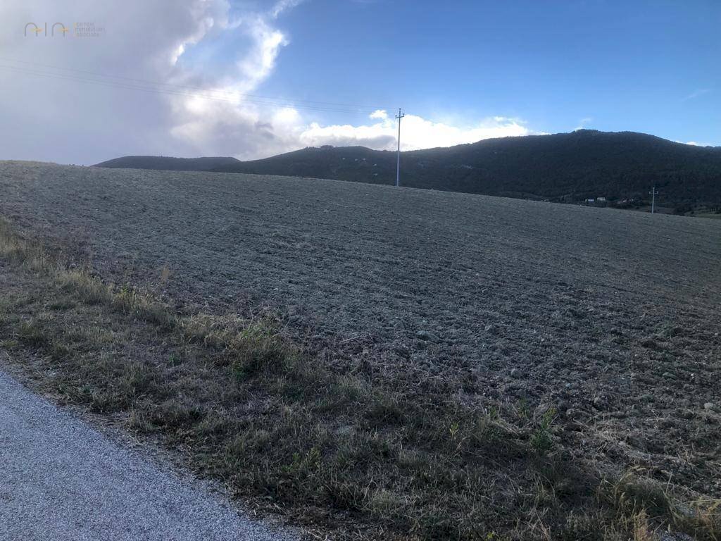 Foto 2 - Agricultural land C.da Santo Stefano, Treia - photo 2