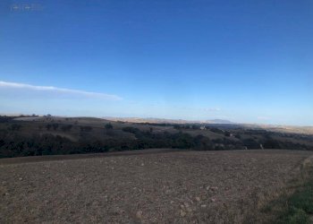 Foto 1 - Terreno agricolo C.da Santo Stefano, Treia - foto 1