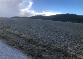 Foto 2 - Terreno agricolo C.da Santo Stefano, Treia - foto 2