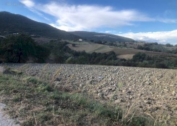 Foto 5 - Terreno agricolo C.da Santo Stefano, Treia - foto 4