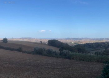 Foto 6 - Terreno agricolo C.da Santo Stefano, Treia - foto 5