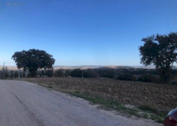 Foto 7 - Terreno agricolo C.da Santo Stefano, Treia - foto 6