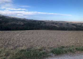 Foto 8 - Terreno agricolo C.da Santo Stefano, Treia - foto 7