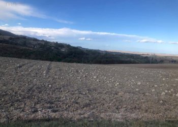 Foto 9 - Terreno agricolo C.da Santo Stefano, Treia - foto 8