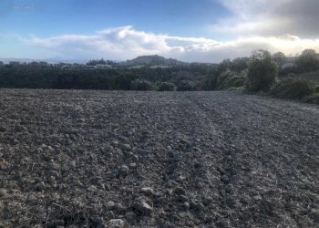 Foto 10 - Terreno agricolo C.da Santo Stefano, Treia - foto 9