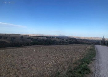 Foto 12 - Terreno agricolo C.da Santo Stefano, Treia - foto 11