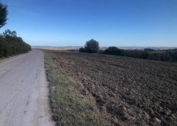 Foto 13 - Terreno agricolo C.da Santo Stefano, Treia - foto 12