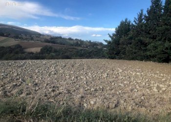 Foto 14 - Terreno agricolo C.da Santo Stefano, Treia - foto 13