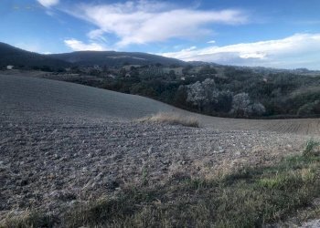 Foto 16 - Terreno agricolo C.da Santo Stefano, Treia - foto 15