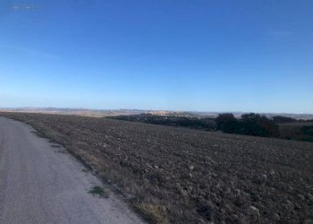 Foto 17 - Terreno agricolo C.da Santo Stefano, Treia - foto 16