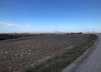 Foto 19 - Terreno agricolo C.da Santo Stefano, Treia - foto 18