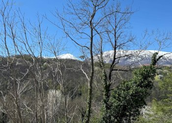 Foto 28 - Villa Loc. Villa Rustici
 
66, Amandola - foto 28