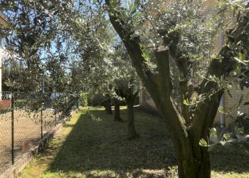 Foto 15 - Independent house Via C. Crivelli
 
17, Ortezzano - photo 15