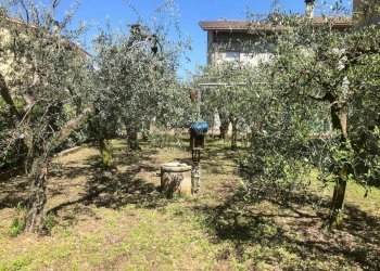 Foto 16 - Independent house Via C. Crivelli
 
17, Ortezzano - photo 16