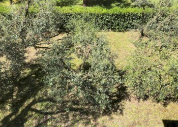 Foto 43 - Independent house Via C. Crivelli
 
17, Ortezzano - photo 43