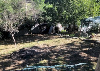 Foto 15 - Independent house Villa Casa Tasso
 
5, Amandola - photo 13