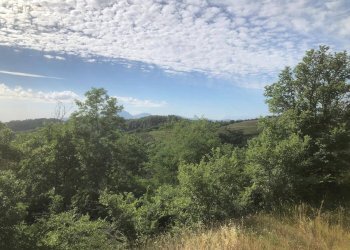 Foto 15 - Casa indipendente Loc. Ferrà, Montemonaco - foto 15