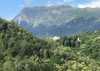 Foto 21 - Casa indipendente Loc. Ferrà, Montemonaco - foto 21