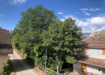 Foto 45 - Casa indipendente Loc. Ferrà, Montemonaco - foto 45