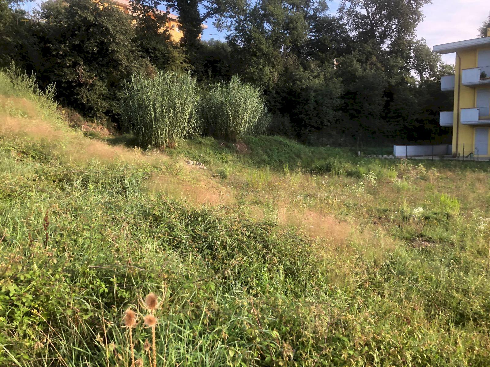 Foto 3 - Terreno edificabile Via dell'Amicizia, Comunanza - foto 3