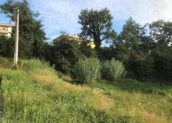 Foto 5 - Terreno edificabile Via dell'Amicizia, Comunanza - foto 5