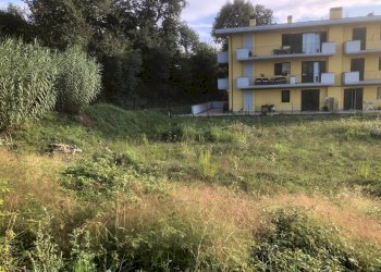 Foto 8 - Terreno edificabile Via dell'Amicizia, Comunanza - foto 7