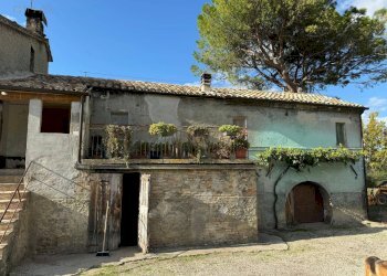 Foto 4 - Rustico C.da Valli
 
1, Servigliano - foto 4