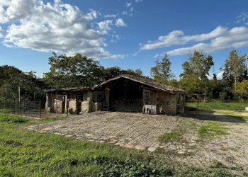 Foto 7 - Rustico C.da Valli
 
1, Servigliano - foto 7