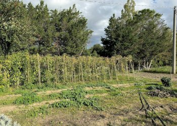 Foto 9 - Rustico C.da Valli
 
1, Servigliano - foto 9