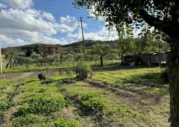 Foto 10 - Rustico C.da Valli
 
1, Servigliano - foto 10