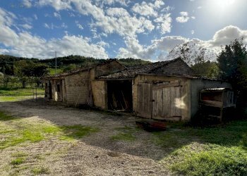 Foto 14 - Rustico C.da Valli
 
1, Servigliano - foto 14