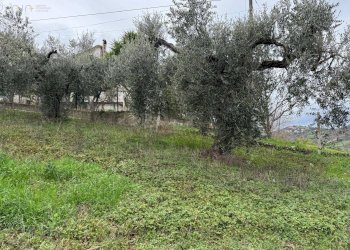 Foto 20 - Casa indipendente C.da Marciliana
 
6, Villamagna - foto 17