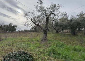 Foto 21 - Casa indipendente C.da Marciliana
 
6, Villamagna - foto 18