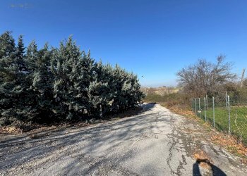 Foto 5 - Laboratorio C.da Grazie Fiastra
 
50, Loro Piceno - foto 5