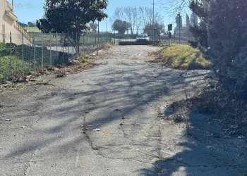 Foto 6 - Laboratorio C.da Grazie Fiastra
 
50, Loro Piceno - foto 6