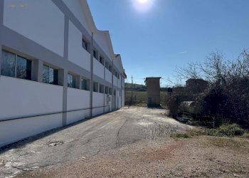 Foto 10 - Laboratorio C.da Grazie Fiastra
 
50, Loro Piceno - foto 10