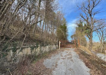 Foto 32 - Laboratory C.da Passo
 
7, Comunanza - photo 28