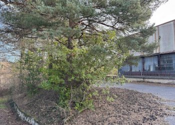 Foto 34 - Laboratory C.da Passo
 
7, Comunanza - photo 30