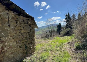 Foto 6 - Rustico Via XX Settembre, Force - foto 6