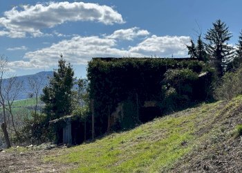 Foto 7 - Rustico Via XX Settembre, Force - foto 7