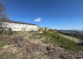 Foto 13 - Rustico Via XX Settembre, Force - foto 12