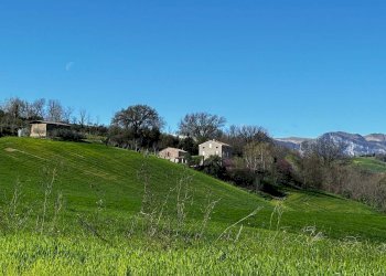 Foto 3 - Rustico Contrada Collerovere, Sant'Angelo in Pontano, Sant'Angelo in Pontano - foto 3