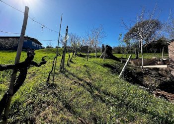 Foto 37 - Rustico Contrada Collerovere, Sant'Angelo in Pontano, Sant'Angelo in Pontano - foto 37