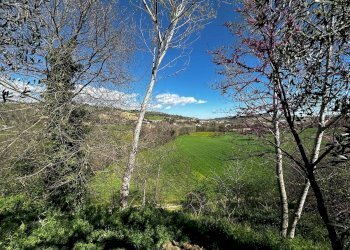 Foto 89 - Rustico Contrada Collerovere, Sant'Angelo in Pontano, Sant'Angelo in Pontano - foto 89