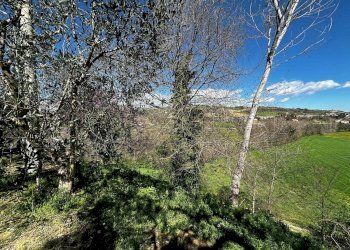 Foto 90 - Rustico Contrada Collerovere, Sant'Angelo in Pontano, Sant'Angelo in Pontano - foto 90